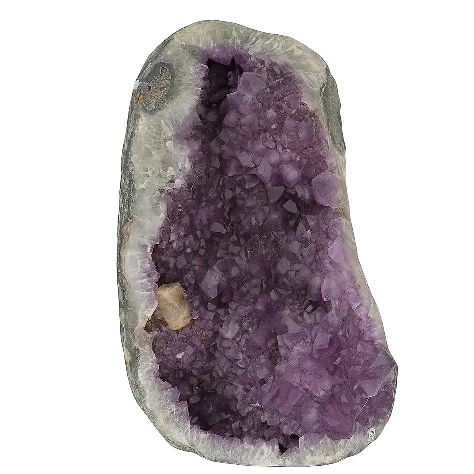 Polished Amethyst Druzes Sylvia Crystals Sp. z o.o.