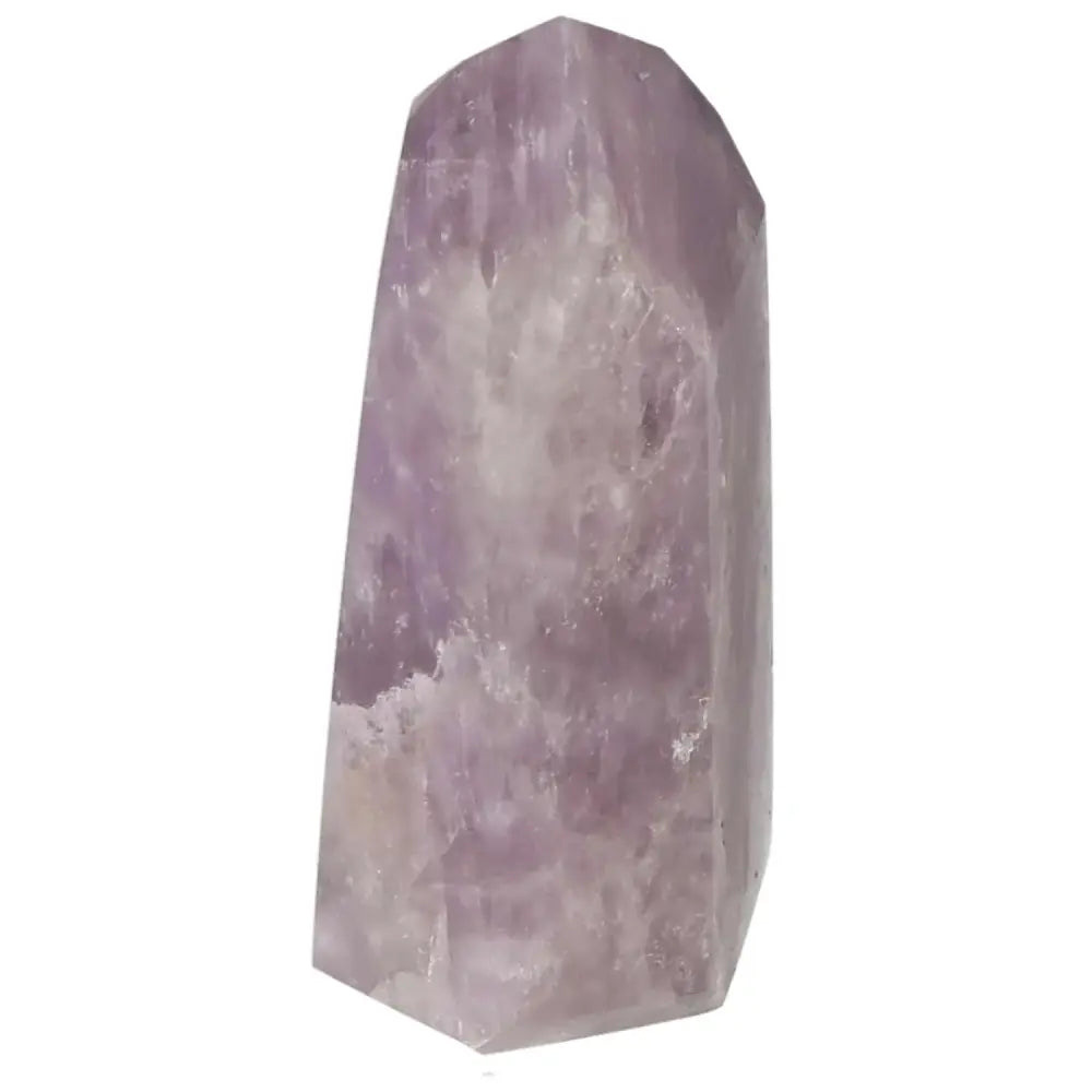 orbitvu|type:image2d