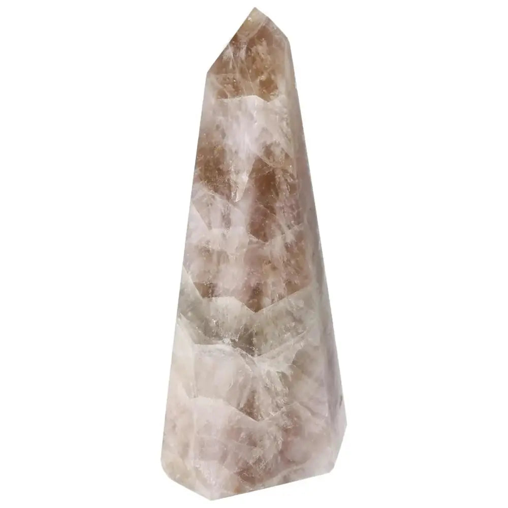 orbitvu|type:image2d