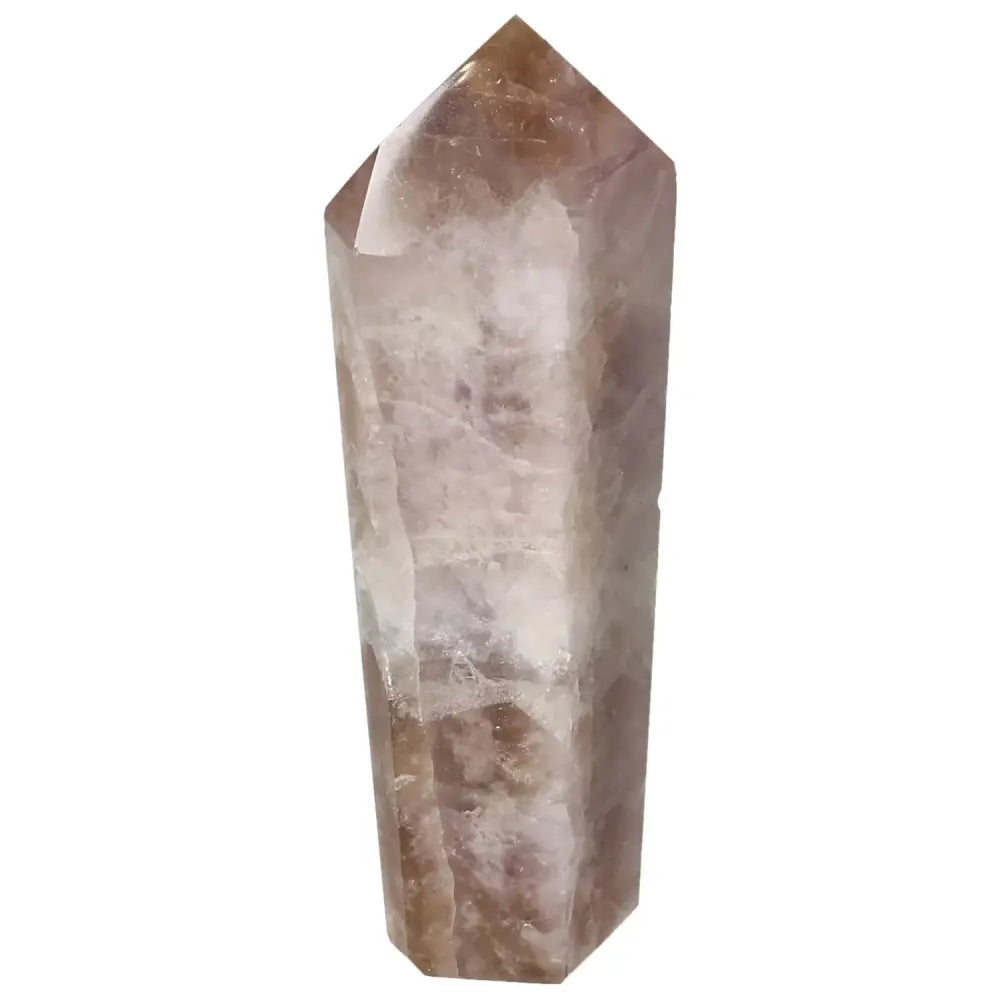 orbitvu|type:image2d