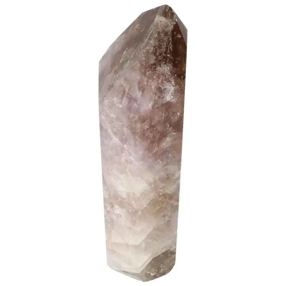 orbitvu|type:image2d