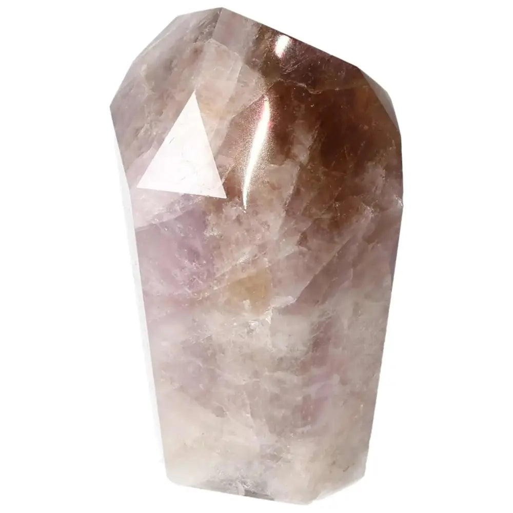 orbitvu|type:image2d