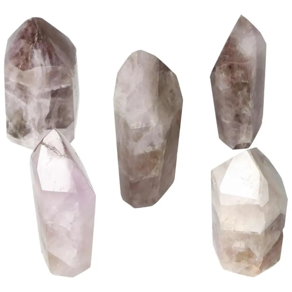 orbitvu|type:image2d