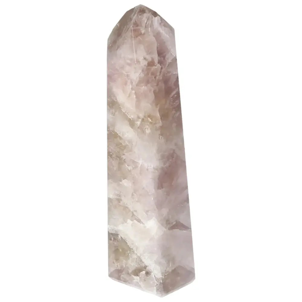 orbitvu|type:image2d