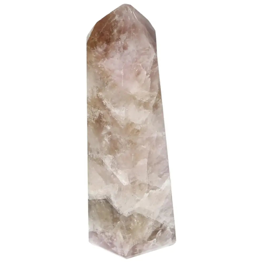 orbitvu|type:image2d