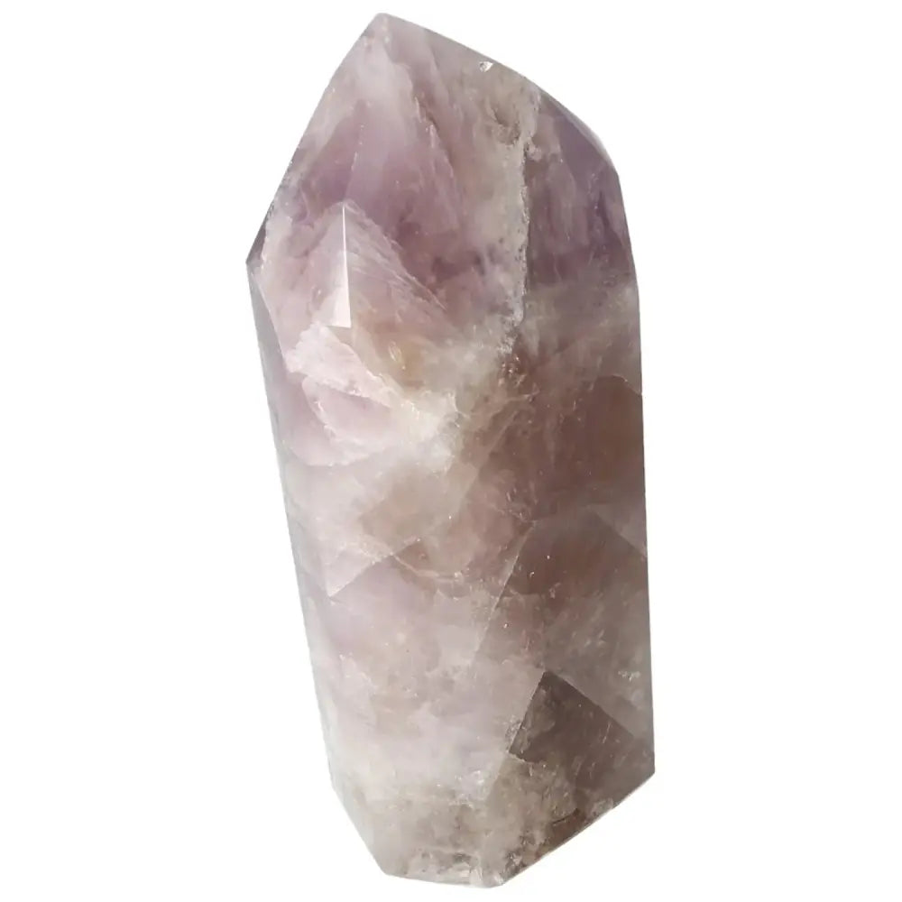 orbitvu|type:image2d