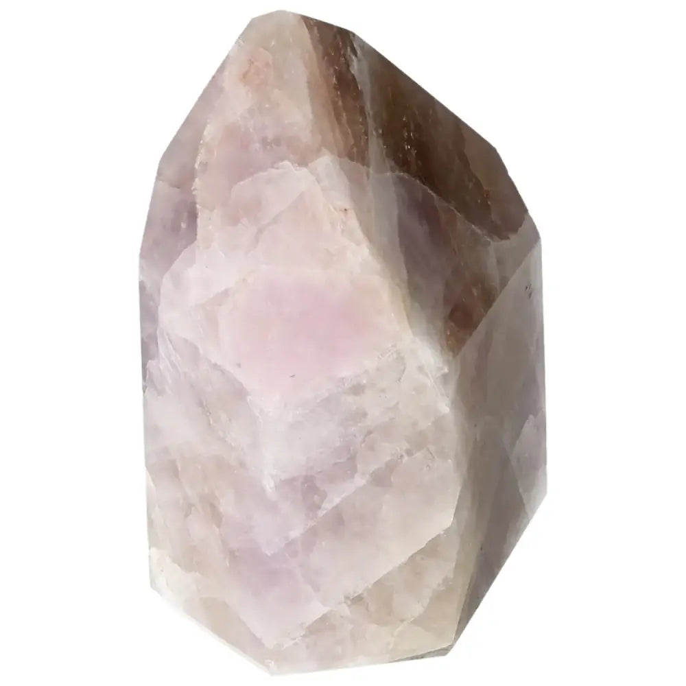 orbitvu|type:image2d