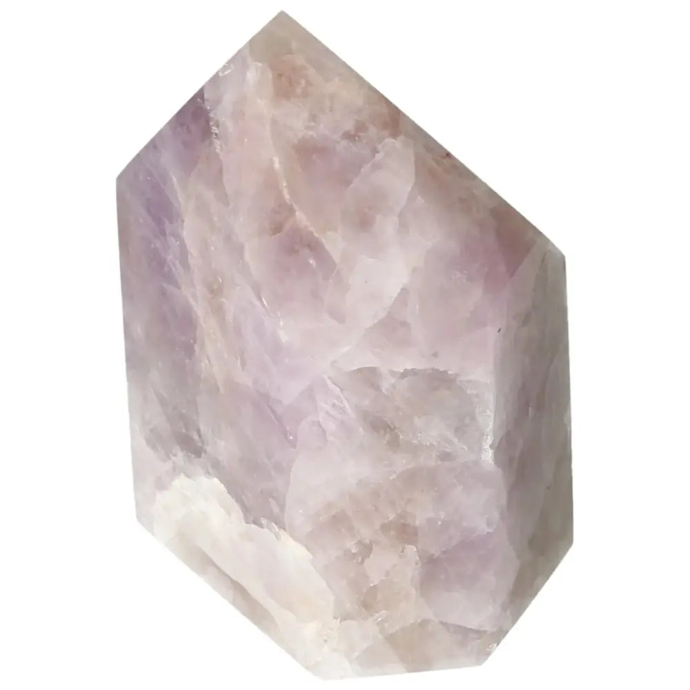 orbitvu|type:image2d