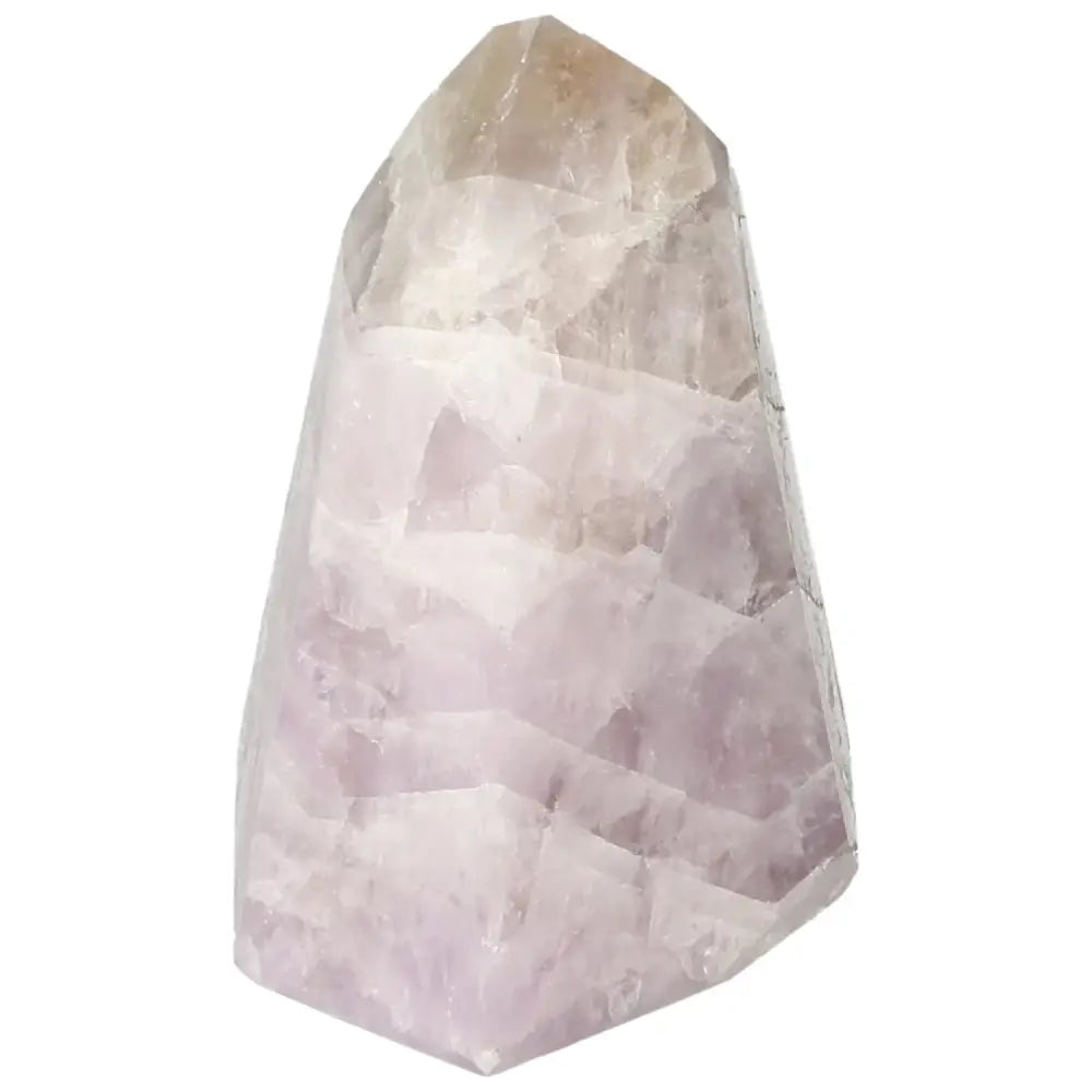 orbitvu|type:image2d