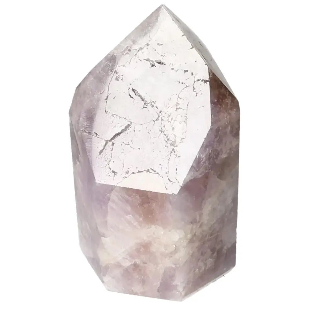 orbitvu|type:image2d