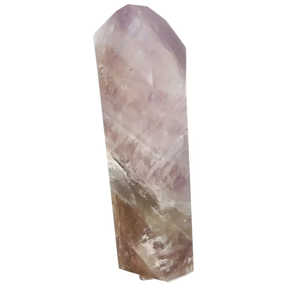 orbitvu|type:image2d