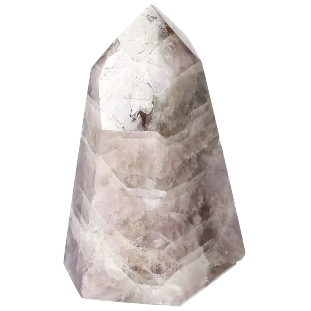 orbitvu|type:image2d