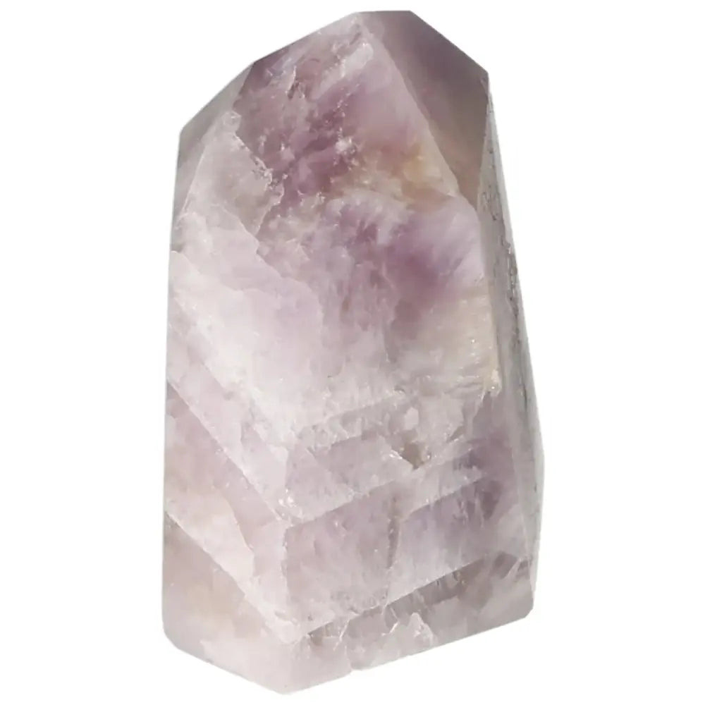 orbitvu|type:image2d