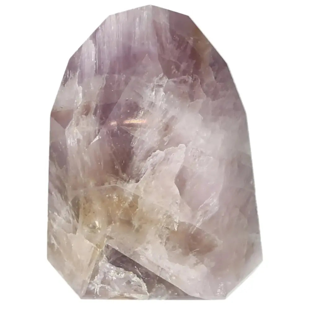 orbitvu|type:image2d