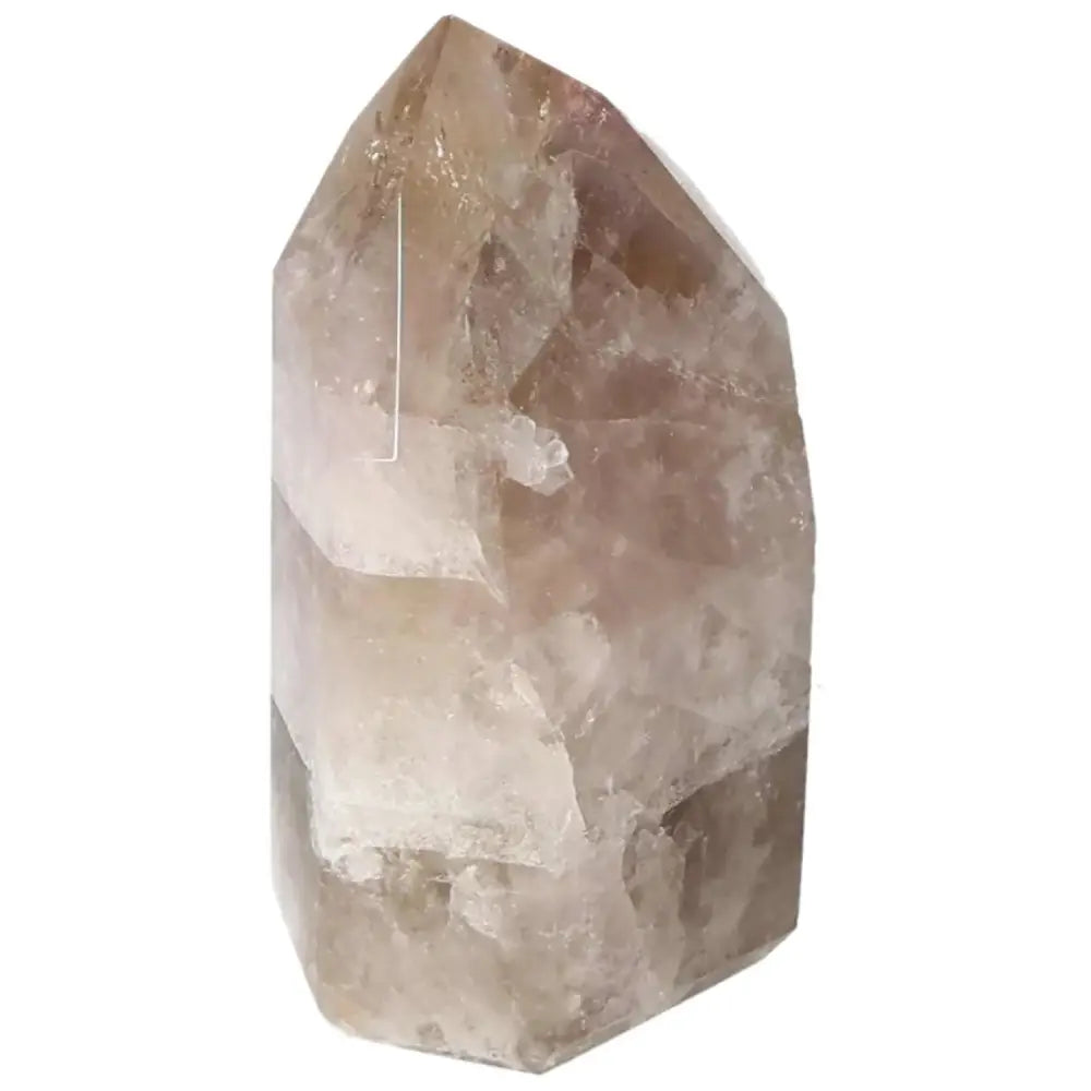 orbitvu|type:image2d