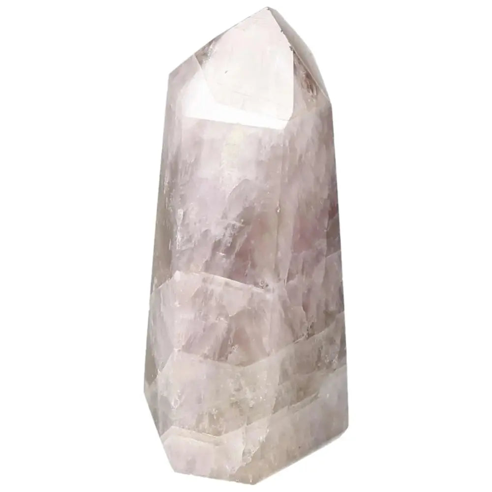 orbitvu|type:image2d