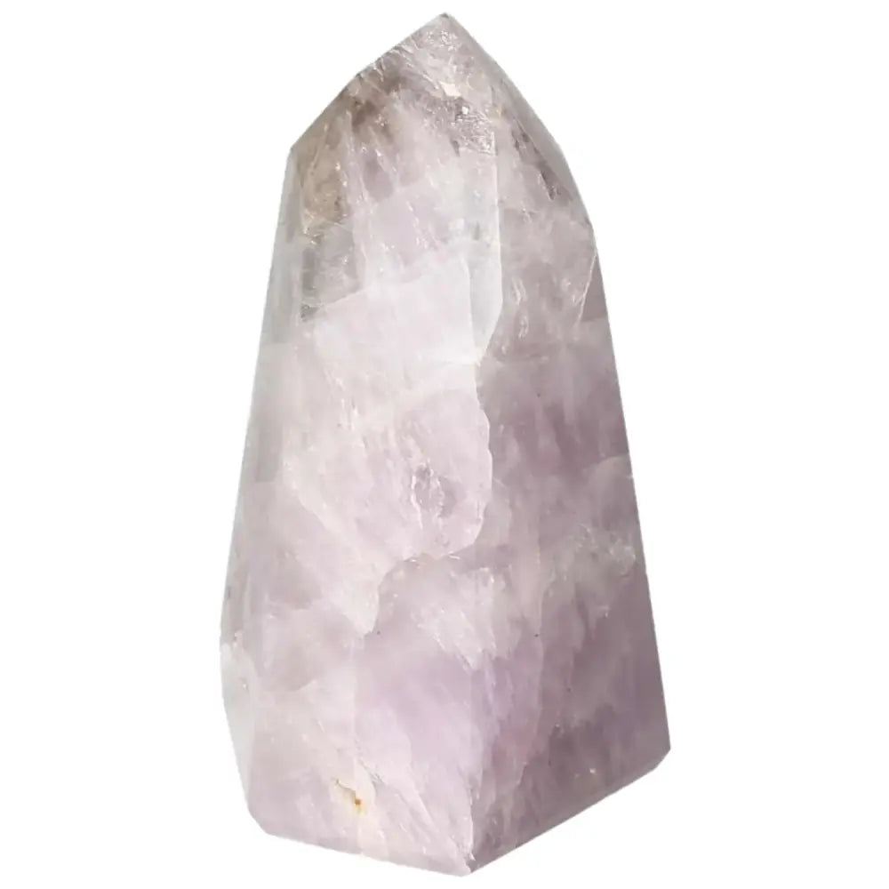 orbitvu|type:image2d