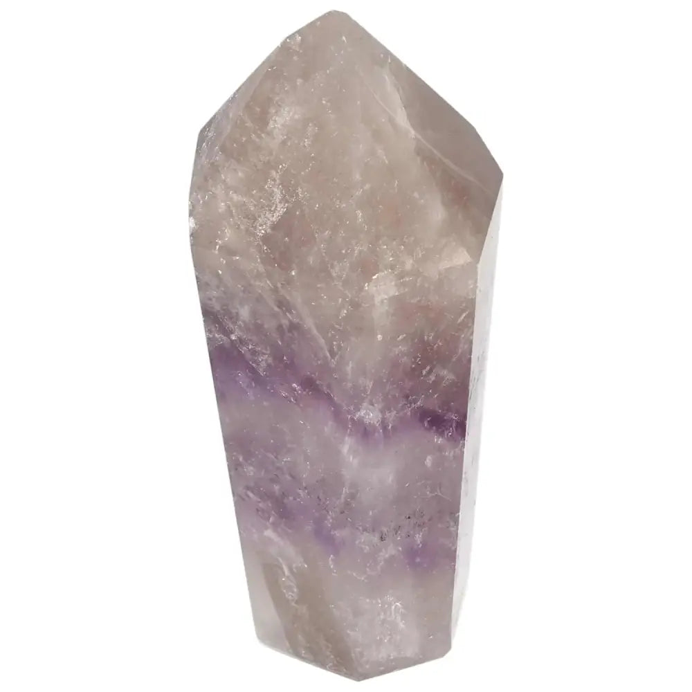 orbitvu|type:image2d