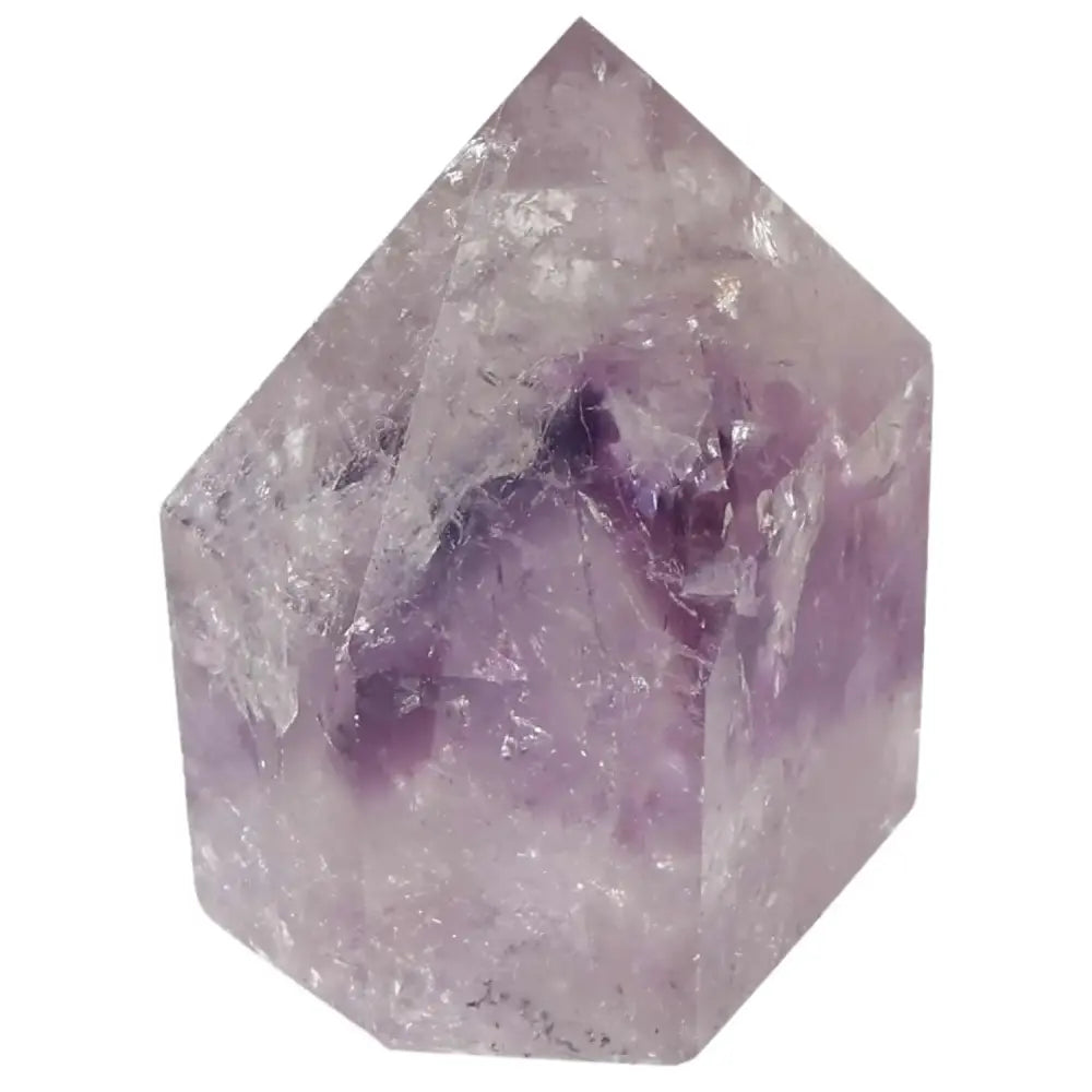 orbitvu|type:image2d