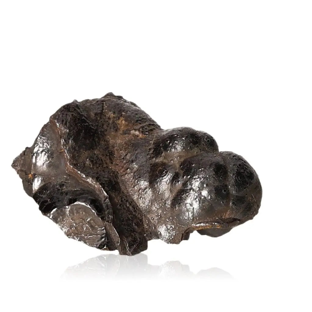 Polished botryoidal hematite crystal cluster with dense, iron-rich formations, showcasing a shimmering metallic surface.