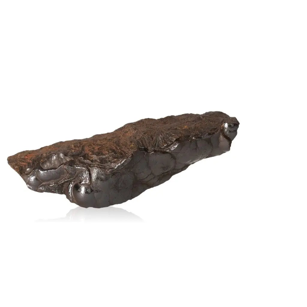 Polished Botryoidal Hematite crystal cluster with glossy finish showcasing its metallic sheen on a white background.