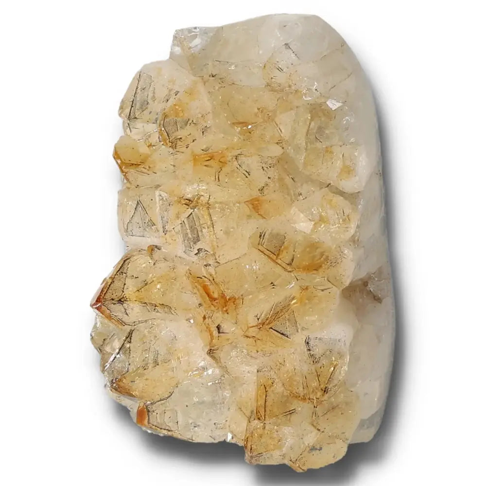 orbitvu|type:image2d