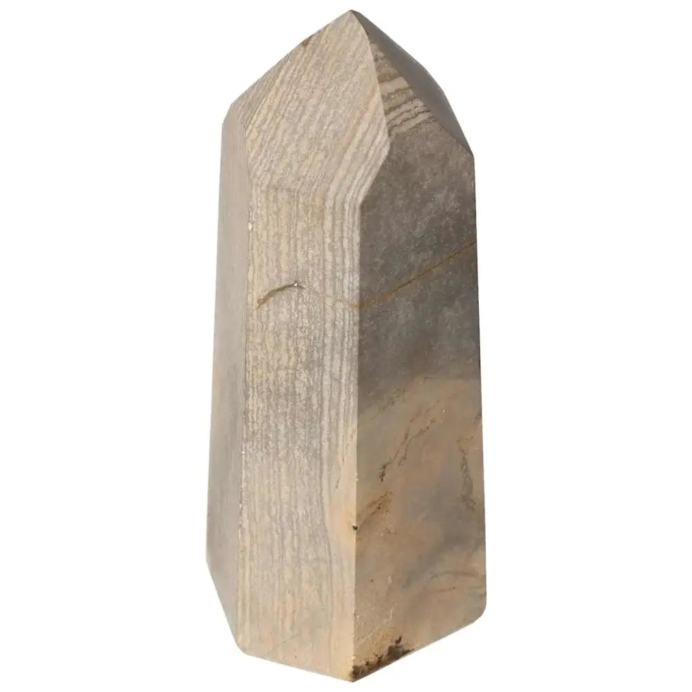 orbitvu|type:image2d