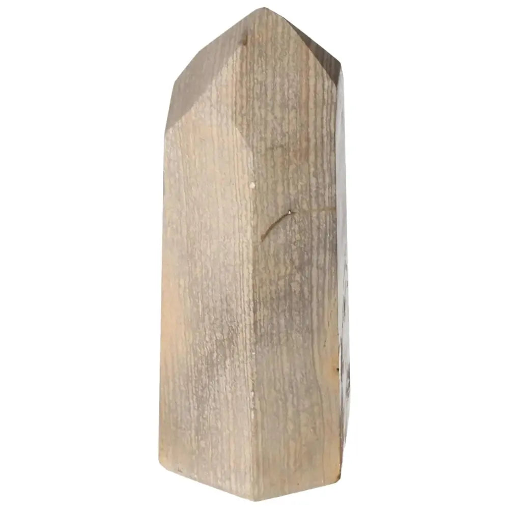 orbitvu|type:image2d