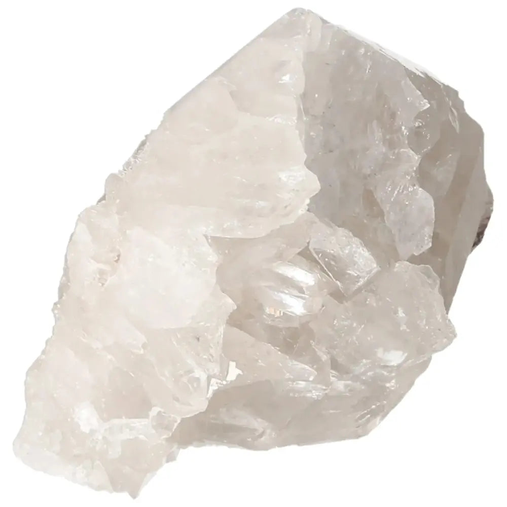 orbitvu|type:image2d