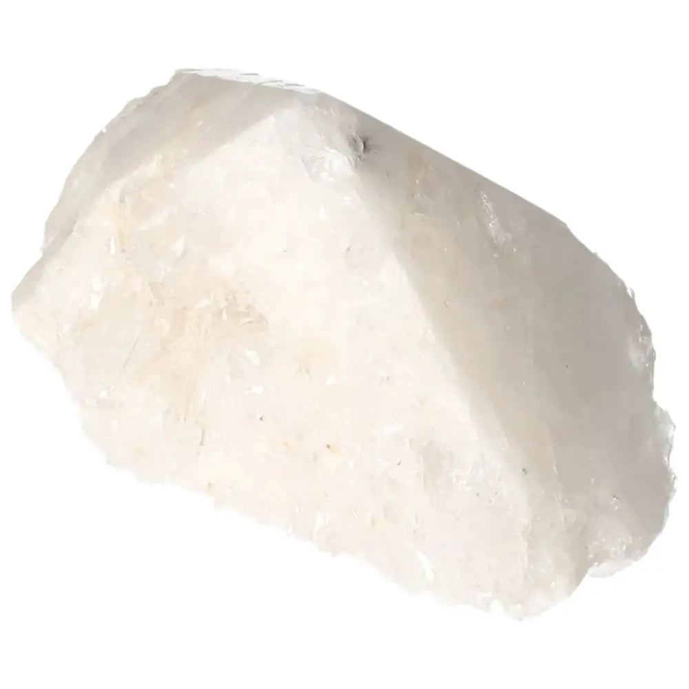 orbitvu|type:image2d