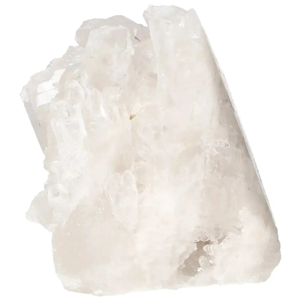 orbitvu|type:image2d