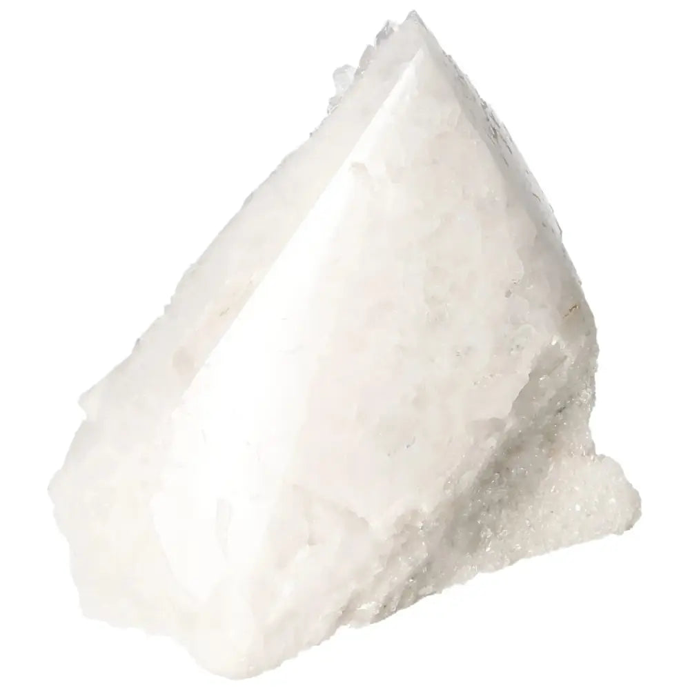 orbitvu|type:image2d