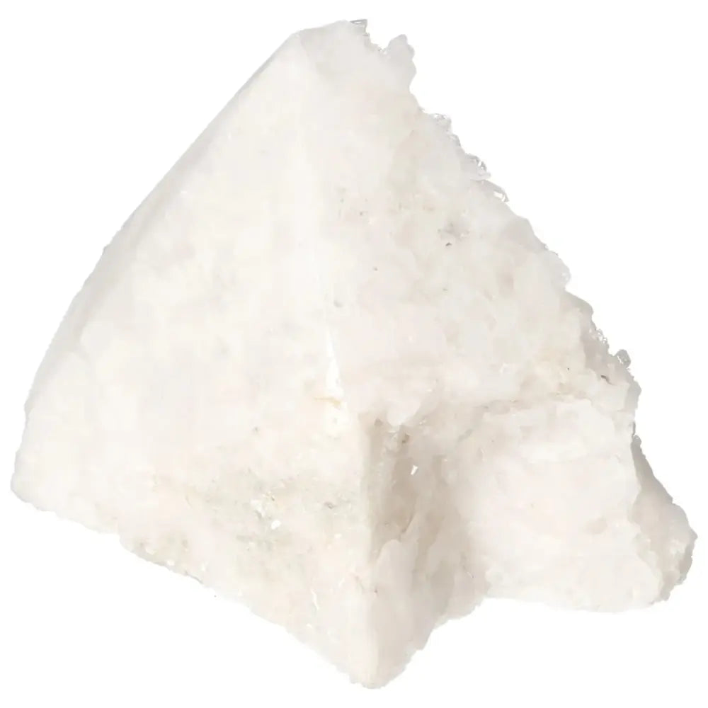 orbitvu|type:image2d