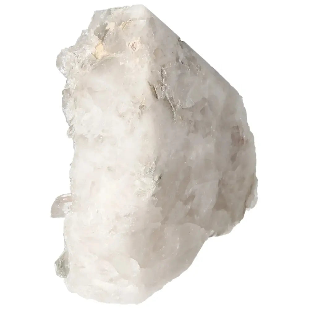 orbitvu|type:image2d