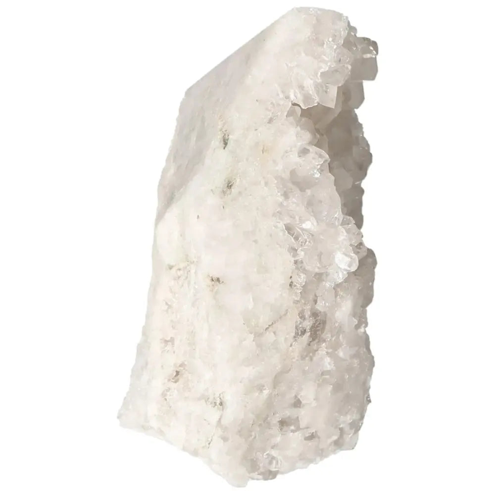 orbitvu|type:image2d