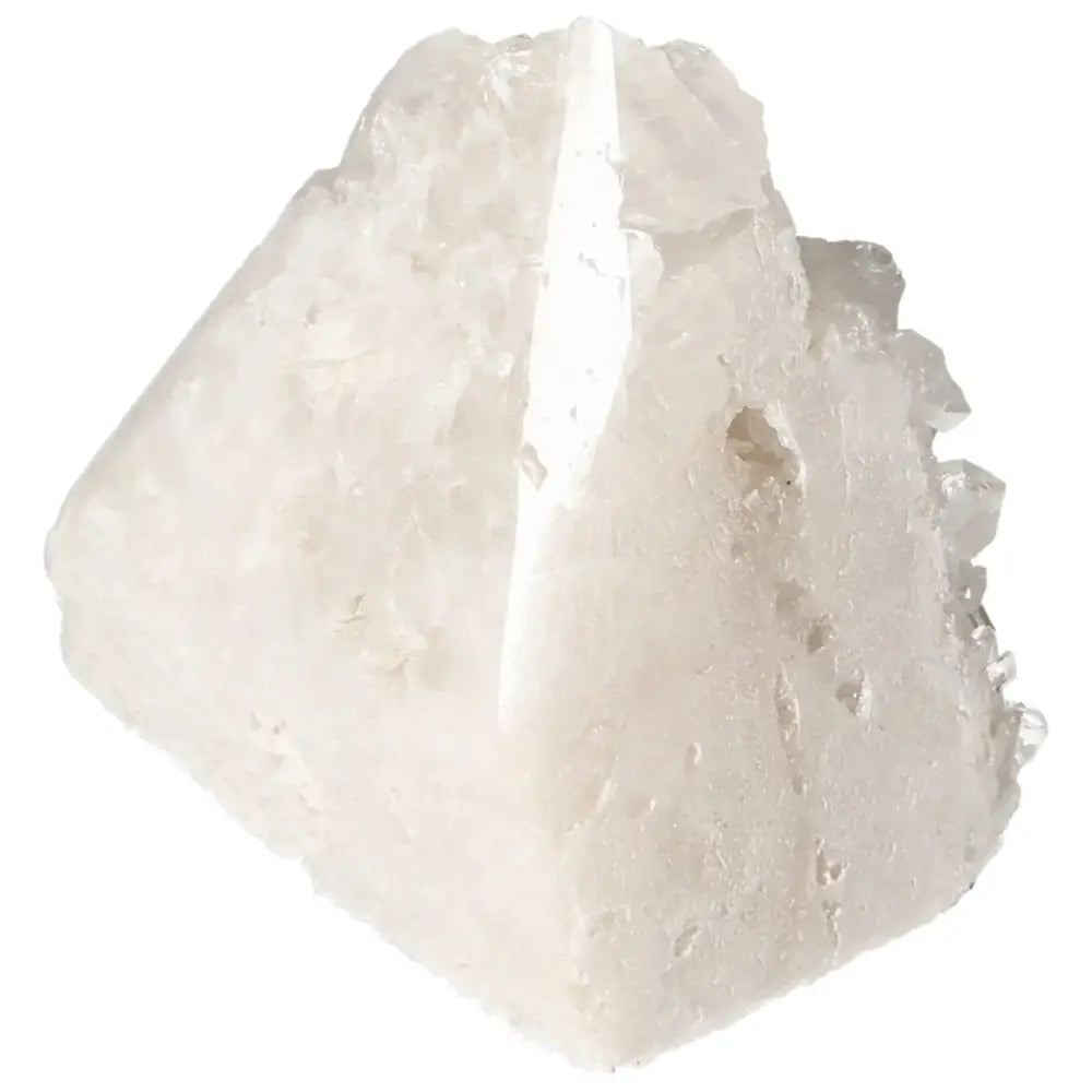 orbitvu|type:image2d