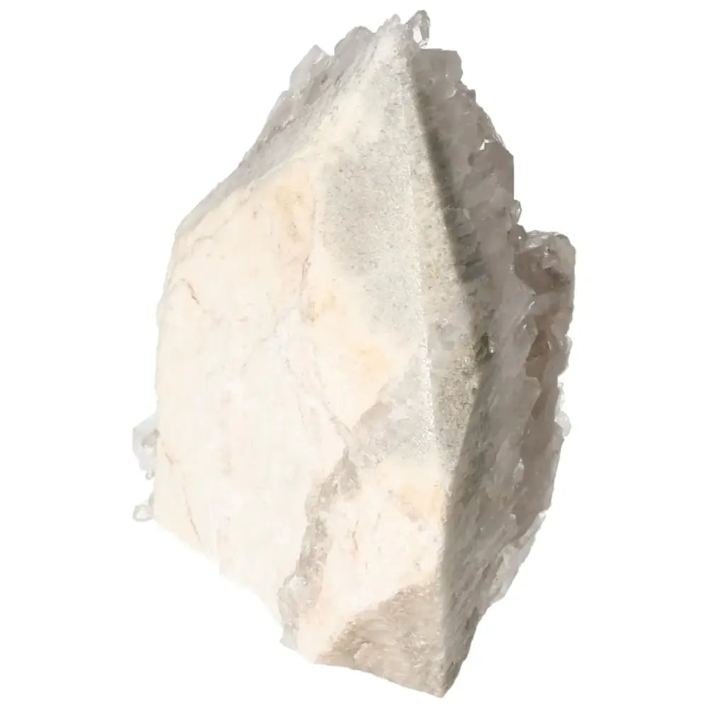 orbitvu|type:image2d