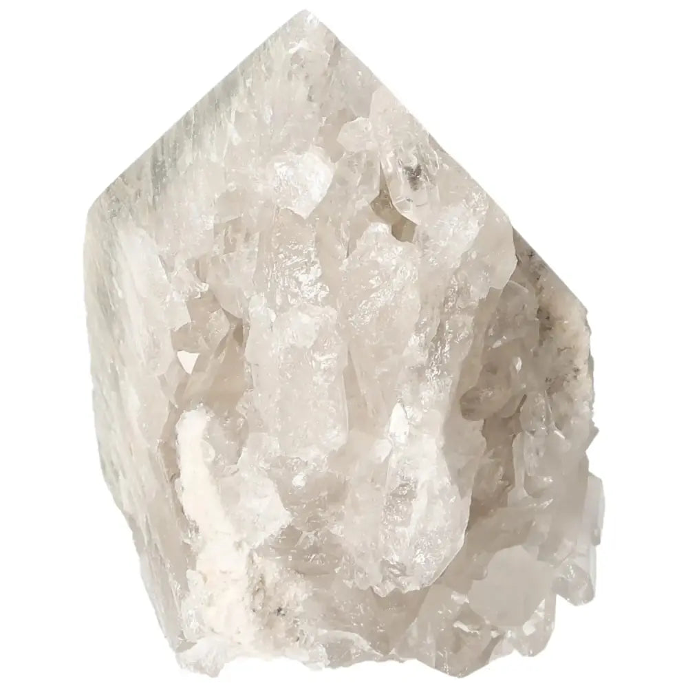 orbitvu|type:image2d