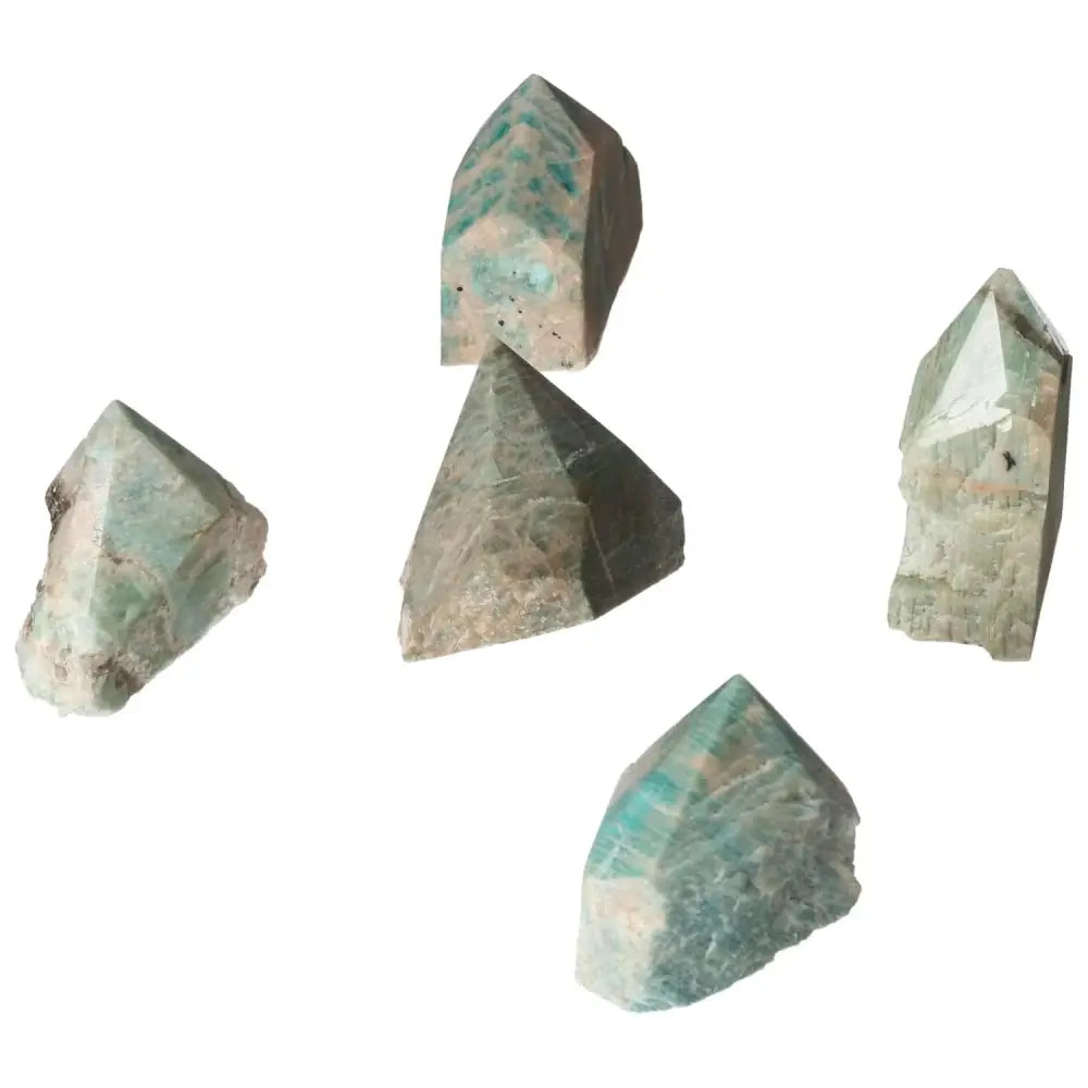 orbitvu|type:image2d