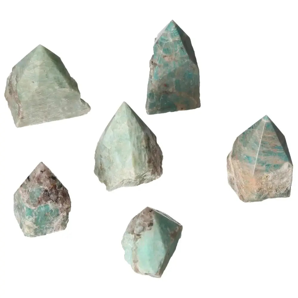 orbitvu|type:image2d