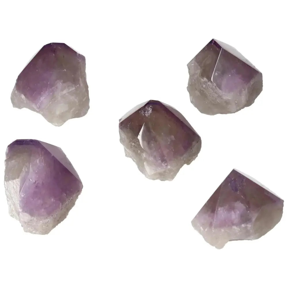 orbitvu|type:image2d