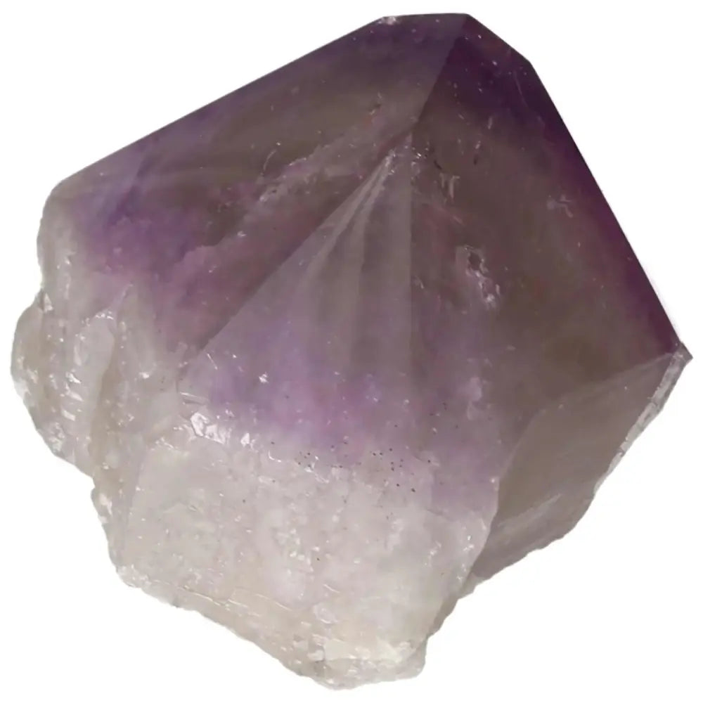 orbitvu|type:image2d