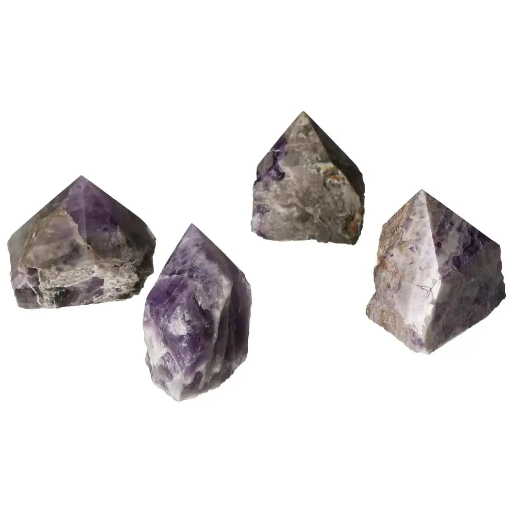 orbitvu|type:image2d