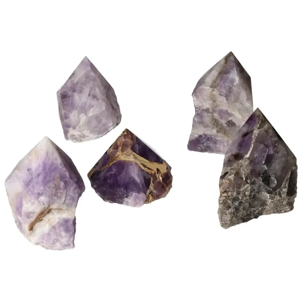 orbitvu|type:image2d