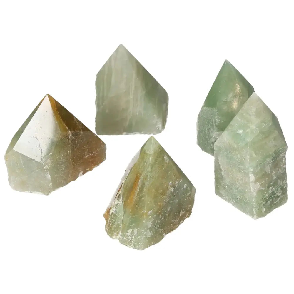 orbitvu|type:image2d