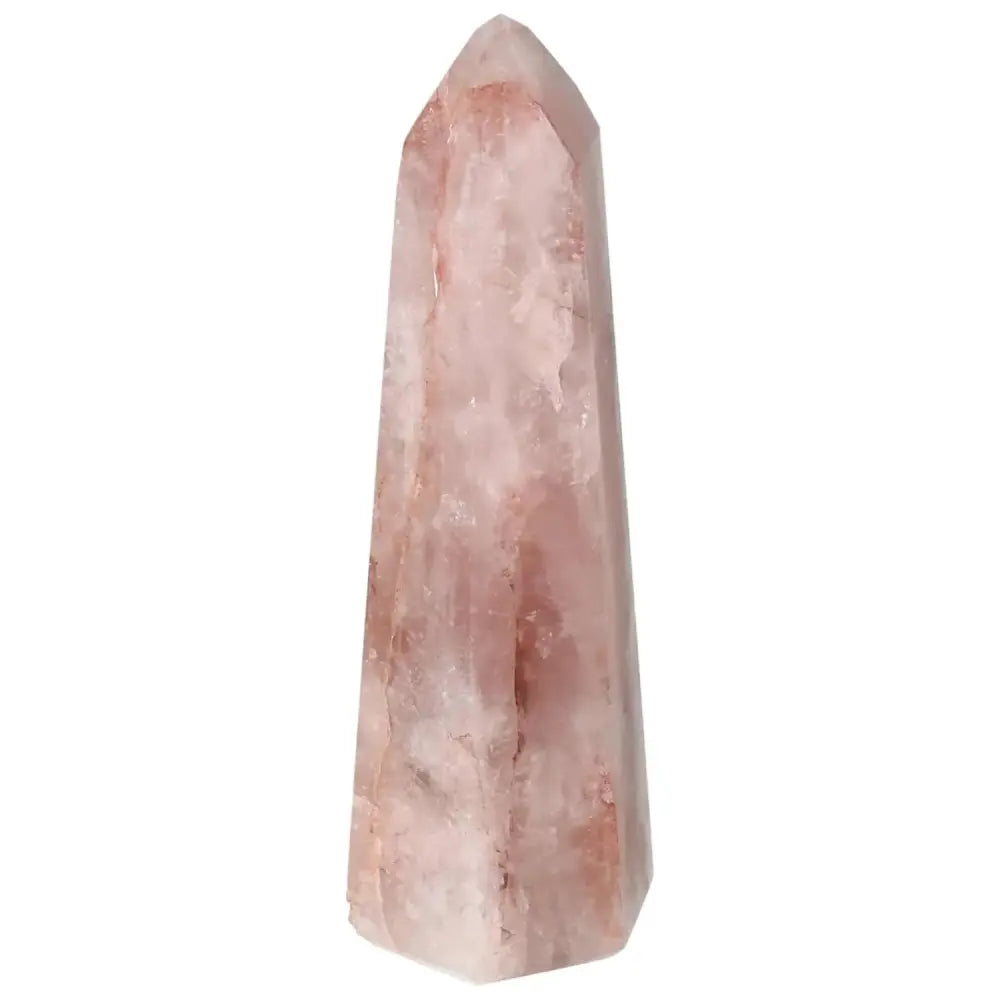 orbitvu|type:image2d