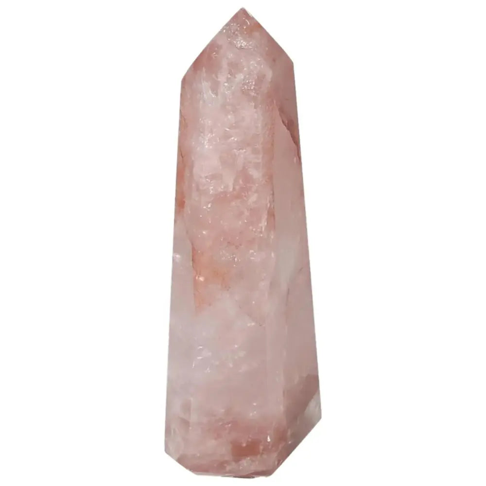 orbitvu|type:image2d