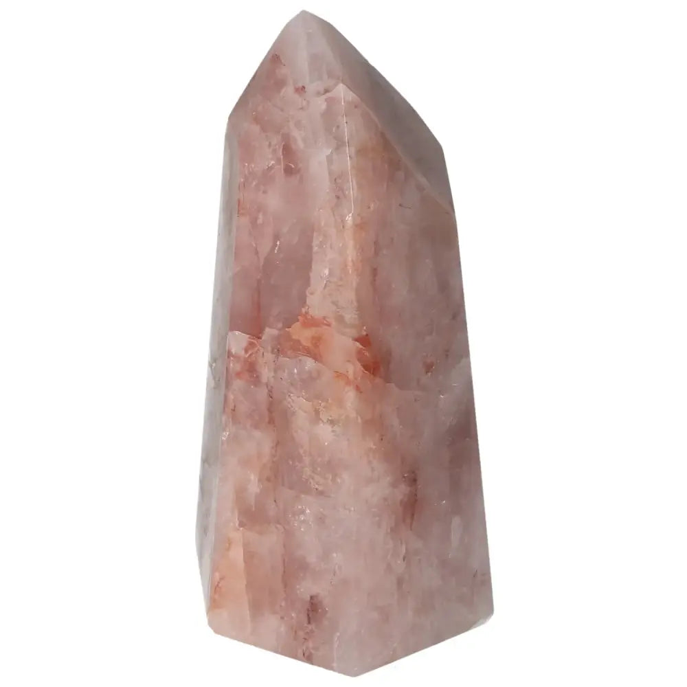 orbitvu|type:image2d