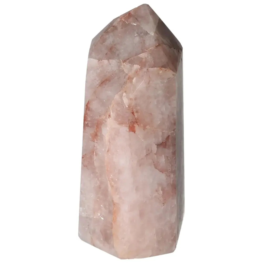 orbitvu|type:image2d