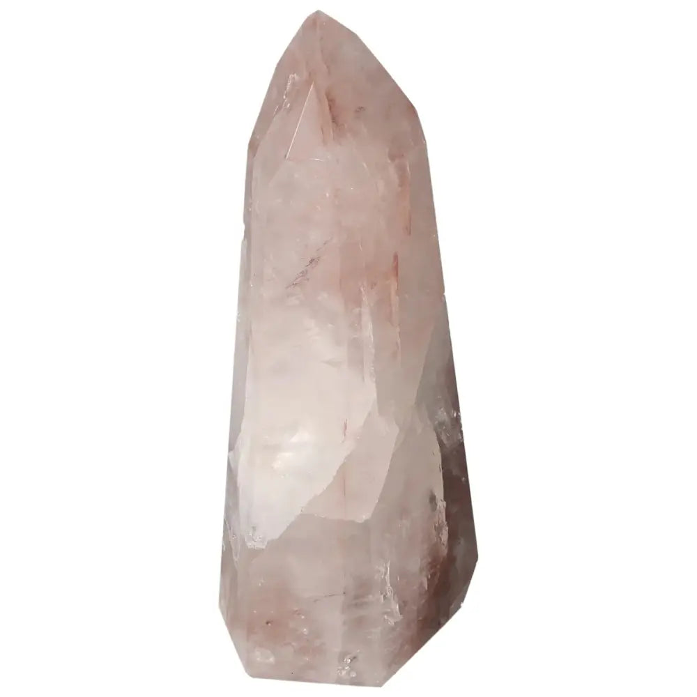 orbitvu|type:image2d